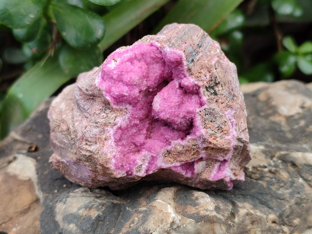 Natural Salrose Cobaltion Dolomite Specimens x 6 From Kakanda, Congo - Toprock Gemstones and Minerals 