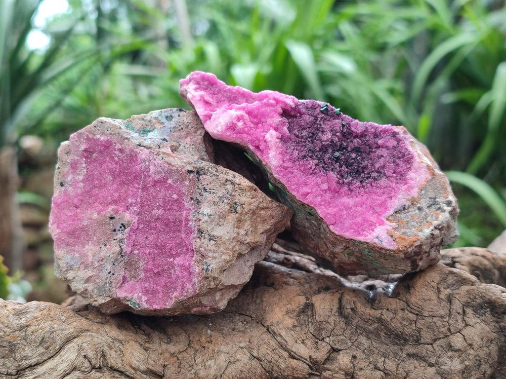 Natural Salrose Cobaltion Dolomite Specimens x 6 From Kakanda, Congo - Toprock Gemstones and Minerals 