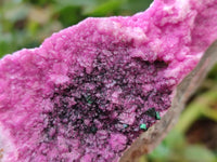 Natural Salrose Cobaltion Dolomite Specimens x 6 From Kakanda, Congo