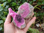 Natural Salrose Cobaltion Dolomite Specimens x 6 From Kakanda, Congo - Toprock Gemstones and Minerals 