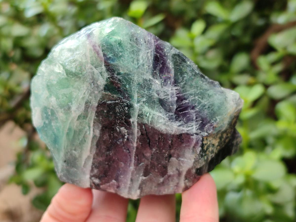 Natural Watermelon Fluorite Cobbed Specimens x 12 From Uis, Namibia