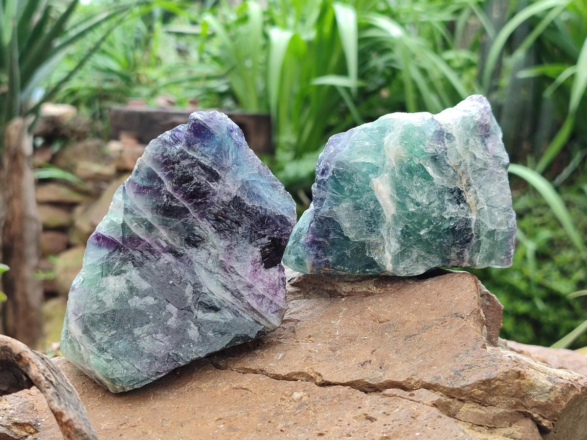 Natural Watermelon Fluorite Cobbed Specimens x 12 From Uis, Namibia