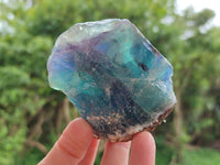 Natural Watermelon Fluorite Cobbed Specimens x 12 From Uis, Namibia