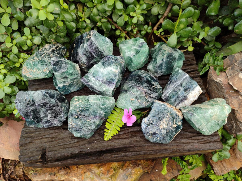 Natural Watermelon Fluorite Cobbed Specimens x 12 From Uis, Namibia
