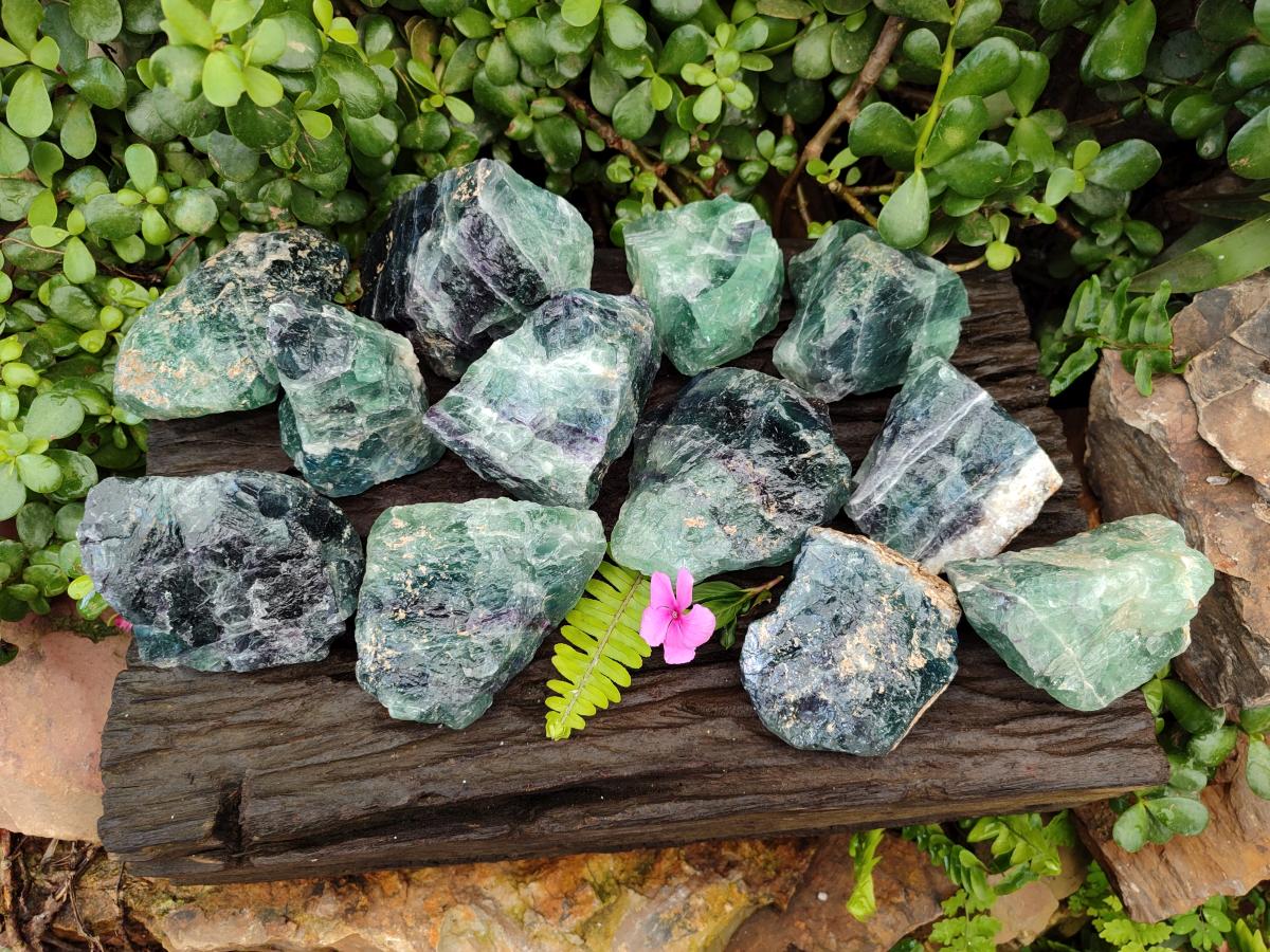Natural Watermelon Fluorite Cobbed Specimens x 12 From Uis, Namibia