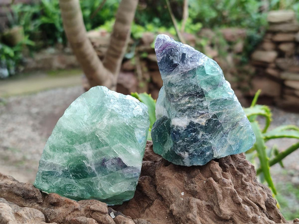Natural Watermelon Fluorite Cobbed Specimens x 12 From Uis, Namibia