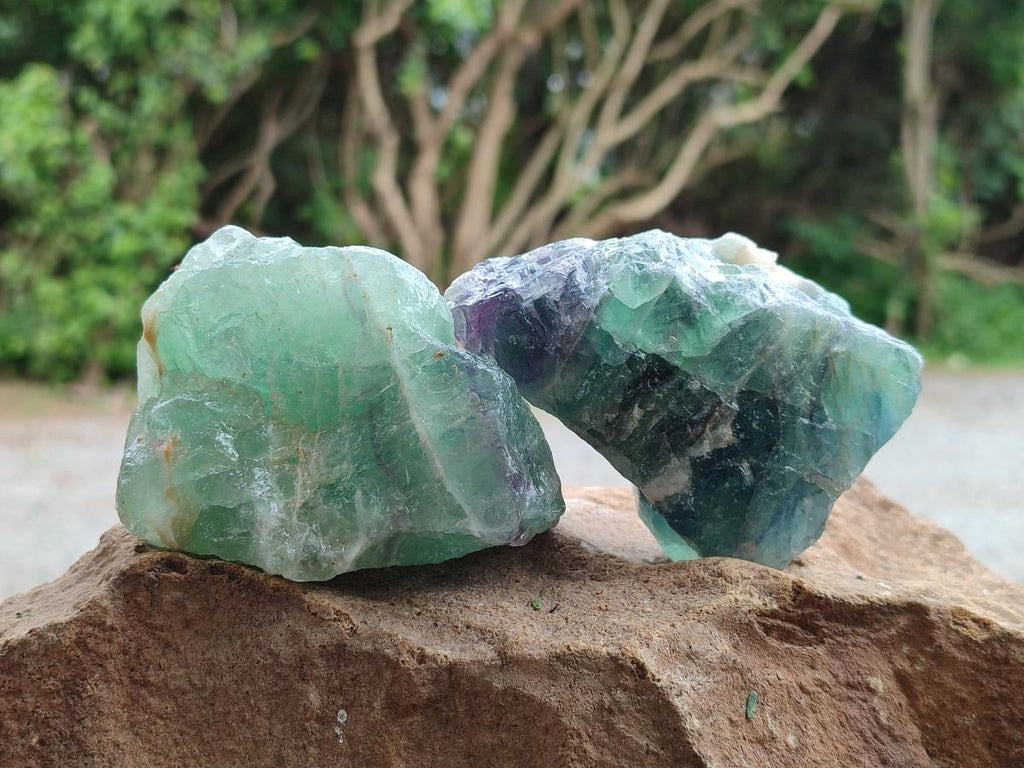 Natural Watermelon Fluorite Cobbed Specimens x 12 From Uis, Namibia