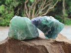 Natural Watermelon Fluorite Cobbed Specimens x 12 From Uis, Namibia