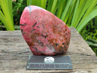 Polished Rhodonite Free Form x 1 From Rhusinga, Zimbabwe
