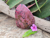 Polished Rhodonite Free Form x 1 From Rhusinga, Zimbabwe