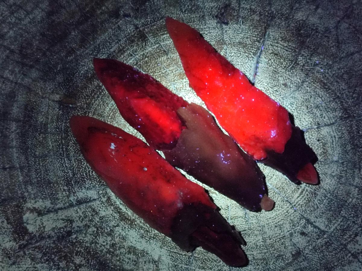 Natural Drusy Quartz Coated Spearhead Calcite Specimens x 12 From Albert's Mountain, Lesotho