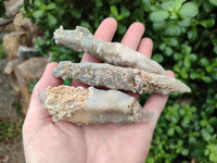 Natural Drusy Quartz Coated Spearhead Calcite Specimens x 12 From Albert's Mountain, Lesotho