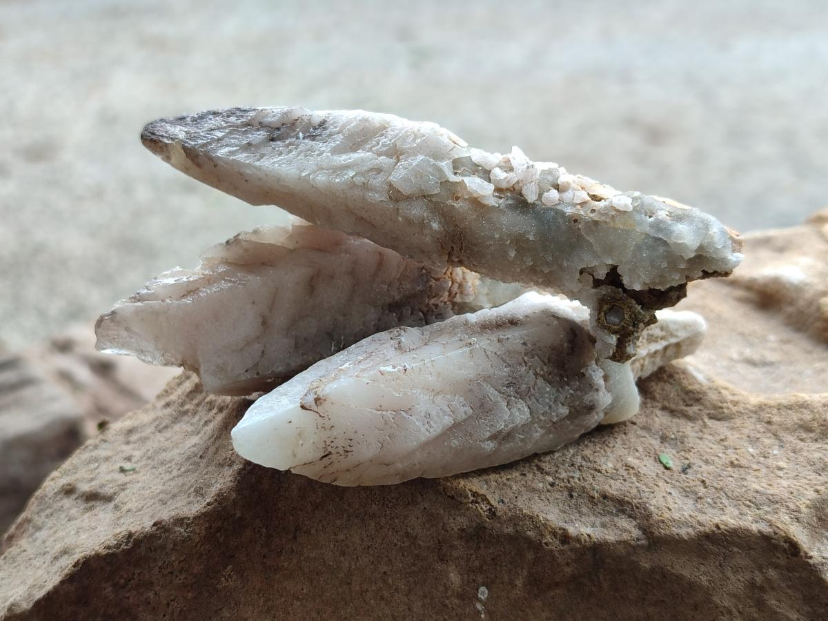 Natural Drusy Quartz Coated Spearhead Calcite Specimens x 12 From Albert's Mountain, Lesotho