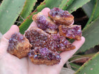 Natural Amethystos Amethyst Clusters x 35 From Kwaggafontein, South Africa