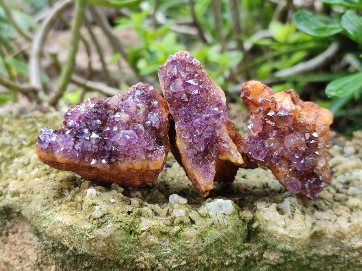Natural Amethystos Amethyst Clusters x 35 From Kwaggafontein, South Africa