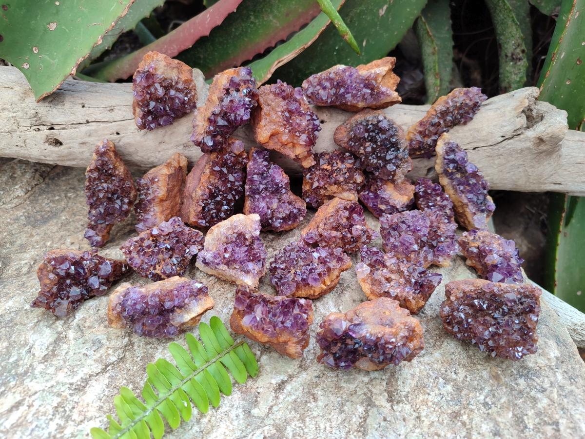 Natural Amethystos Amethyst Clusters x 35 From Kwaggafontein, South Africa