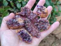 Natural Amethystos Amethyst Clusters x 35 From Kwaggafontein, South Africa