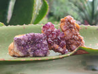 Natural Amethystos Amethyst Clusters x 35 From Kwaggafontein, South Africa