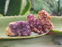 Natural Amethystos Amethyst Clusters x 35 From Kwaggafontein, South Africa
