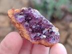 Natural Amethystos Amethyst Clusters x 35 From Kwaggafontein, South Africa