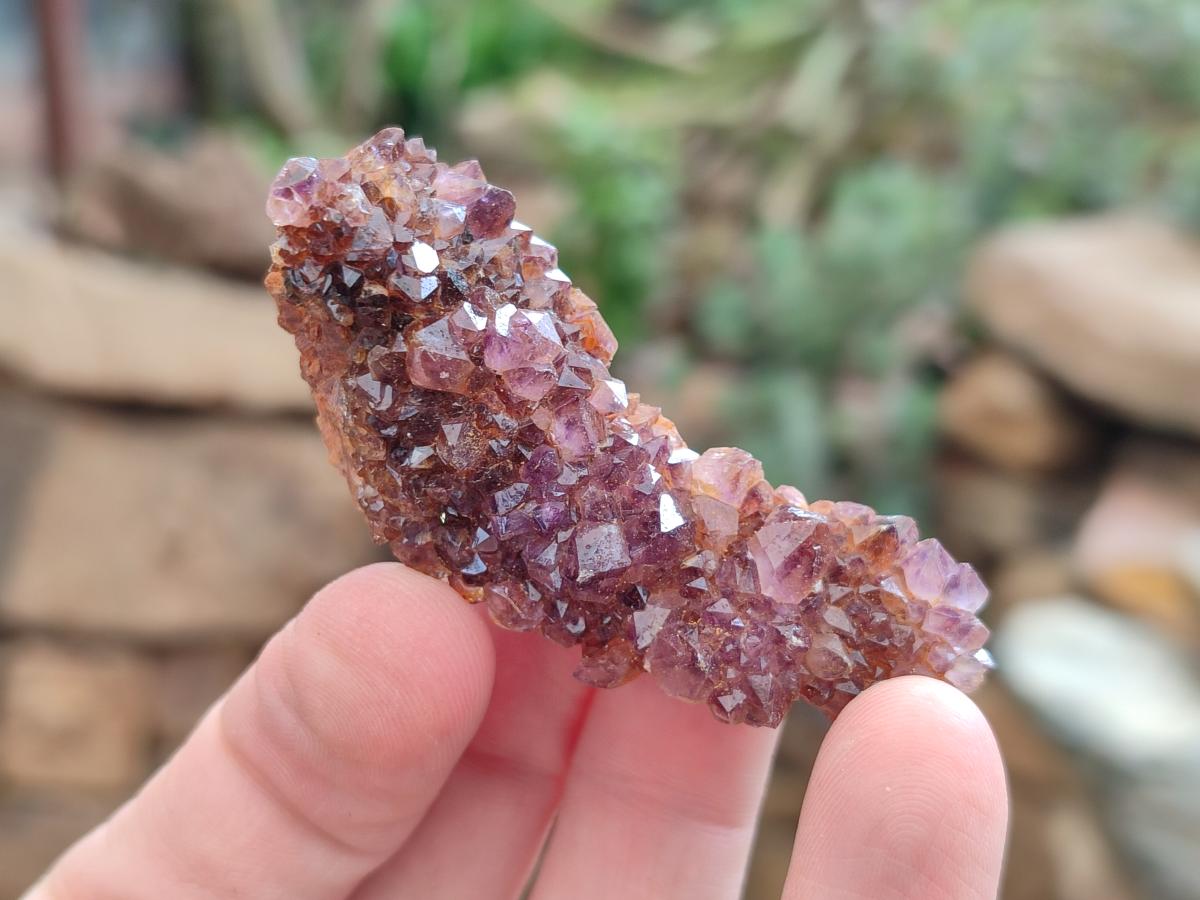 Natural Amethystos Amethyst Clusters x 35 From Kwaggafontein, South Africa