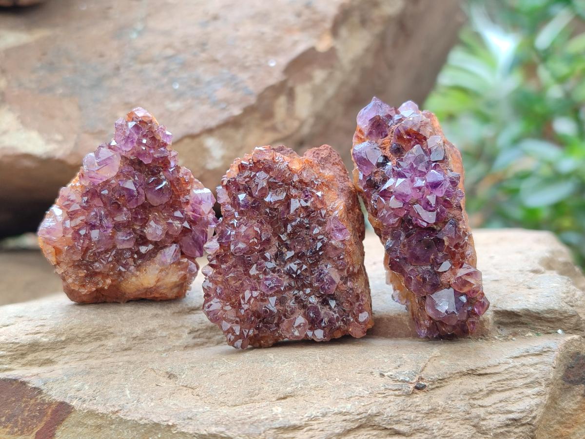 Natural Amethystos Amethyst Clusters x 35 From Kwaggafontein, South Africa