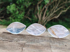 Polished Gemmy Rose Quartz Oval Free Forms x 35 From Madagascar - Toprock Gemstones and Minerals 