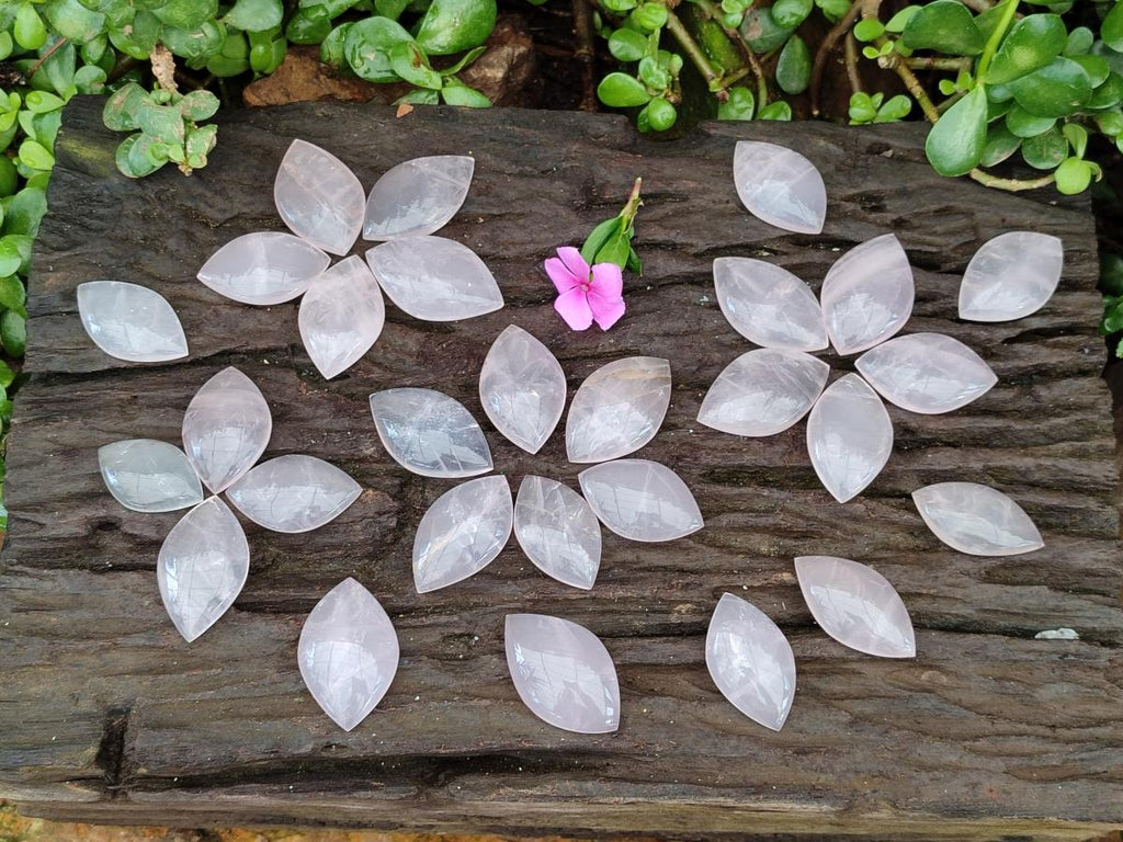 Polished Gemmy Rose Quartz Oval Free Forms x 35 From Madagascar - Toprock Gemstones and Minerals 