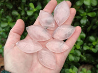 Polished Gemmy Rose Quartz Oval Free Forms x 35 From Madagascar