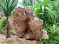 Natural Cascading Smokey Citrine Quartz Clusters x 1 From Luena, Congo