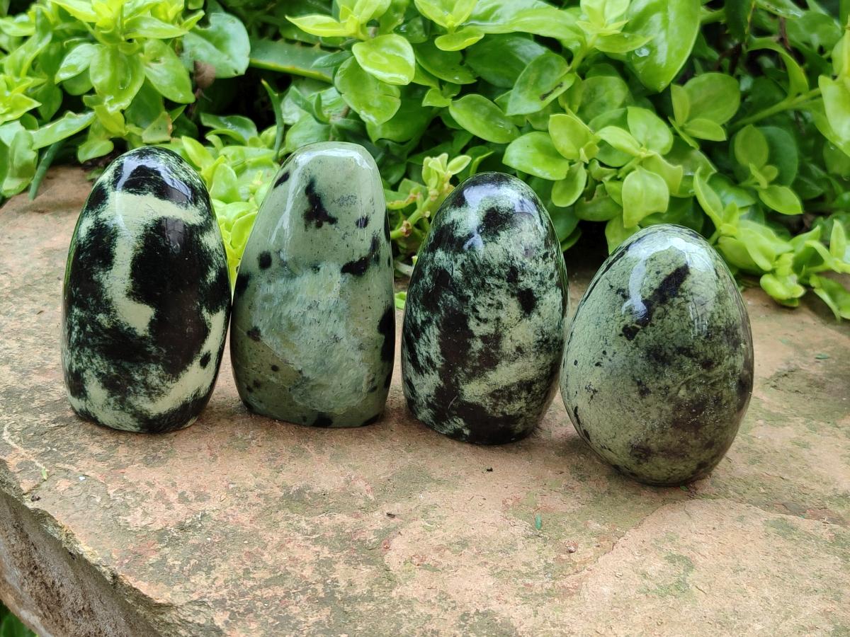 Polished Leopard Stone Standing Free Forms x 6 From Zimbabwe - Toprock Gemstones and Minerals 