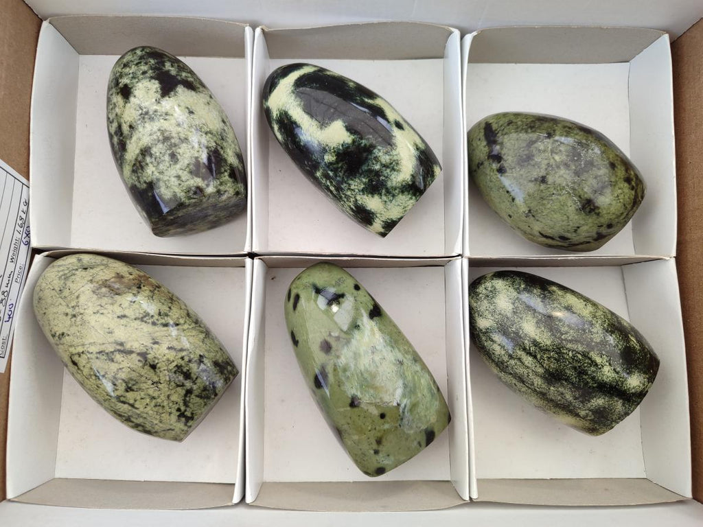 Polished Leopard Stone Standing Free Forms x 6 From Zimbabwe - Toprock Gemstones and Minerals 