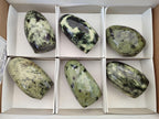 Polished Leopard Stone Standing Free Forms x 6 From Zimbabwe - Toprock Gemstones and Minerals 