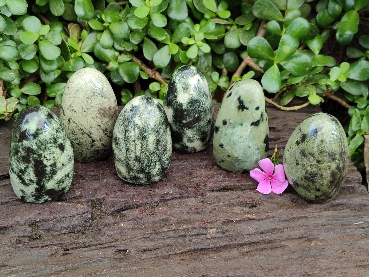 Polished Leopard Stone Standing Free Forms x 6 From Zimbabwe - Toprock Gemstones and Minerals 