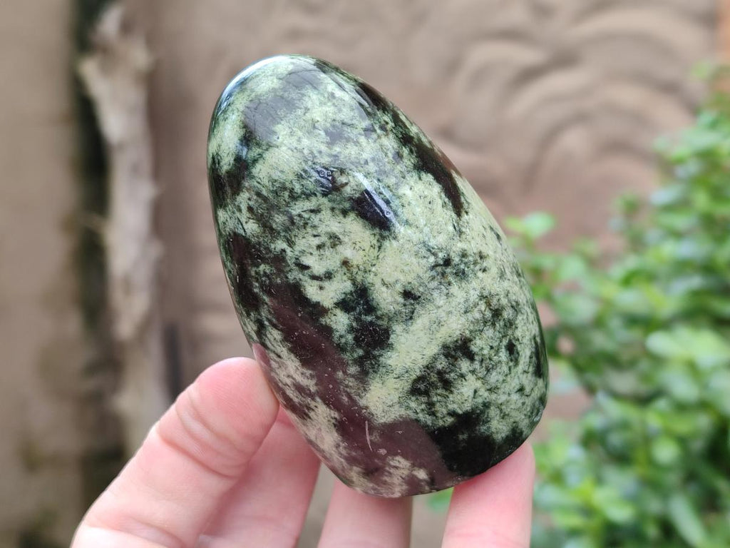 Polished Leopard Stone Standing Free Forms x 6 From Zimbabwe - Toprock Gemstones and Minerals 