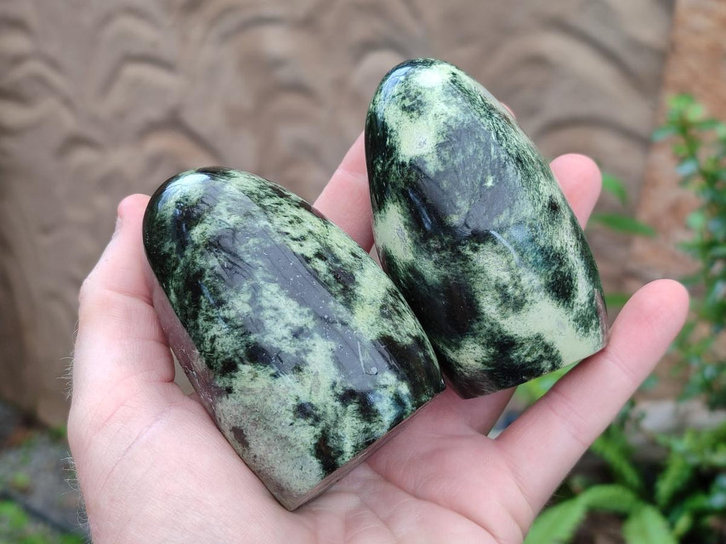Polished Leopard Stone Standing Free Forms x 6 From Zimbabwe - Toprock Gemstones and Minerals 