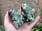 Polished Leopard Stone Standing Free Forms x 6 From Zimbabwe - Toprock Gemstones and Minerals 