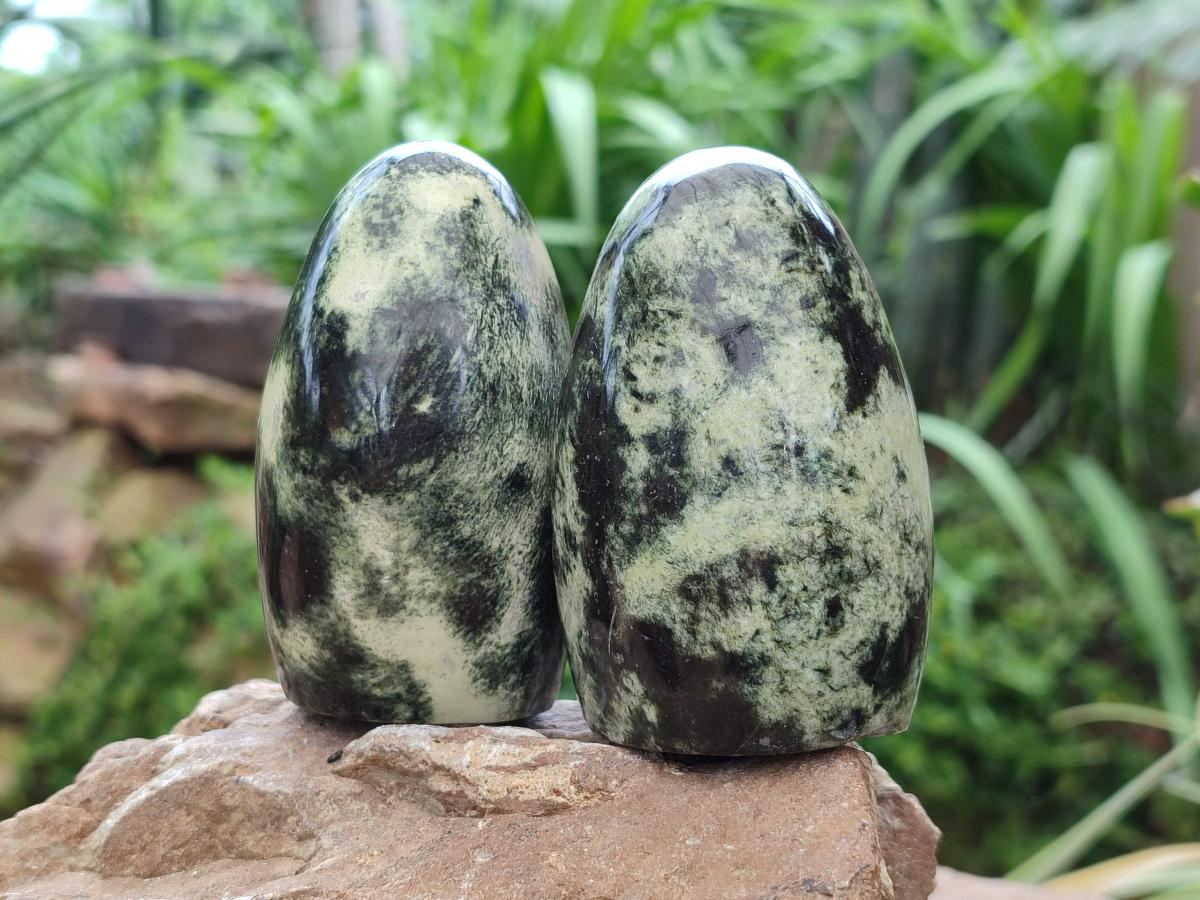 Polished Leopard Stone Standing Free Forms x 6 From Zimbabwe - Toprock Gemstones and Minerals 