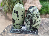 Polished Leopard Stone Standing Free Forms x 6 From Zimbabwe