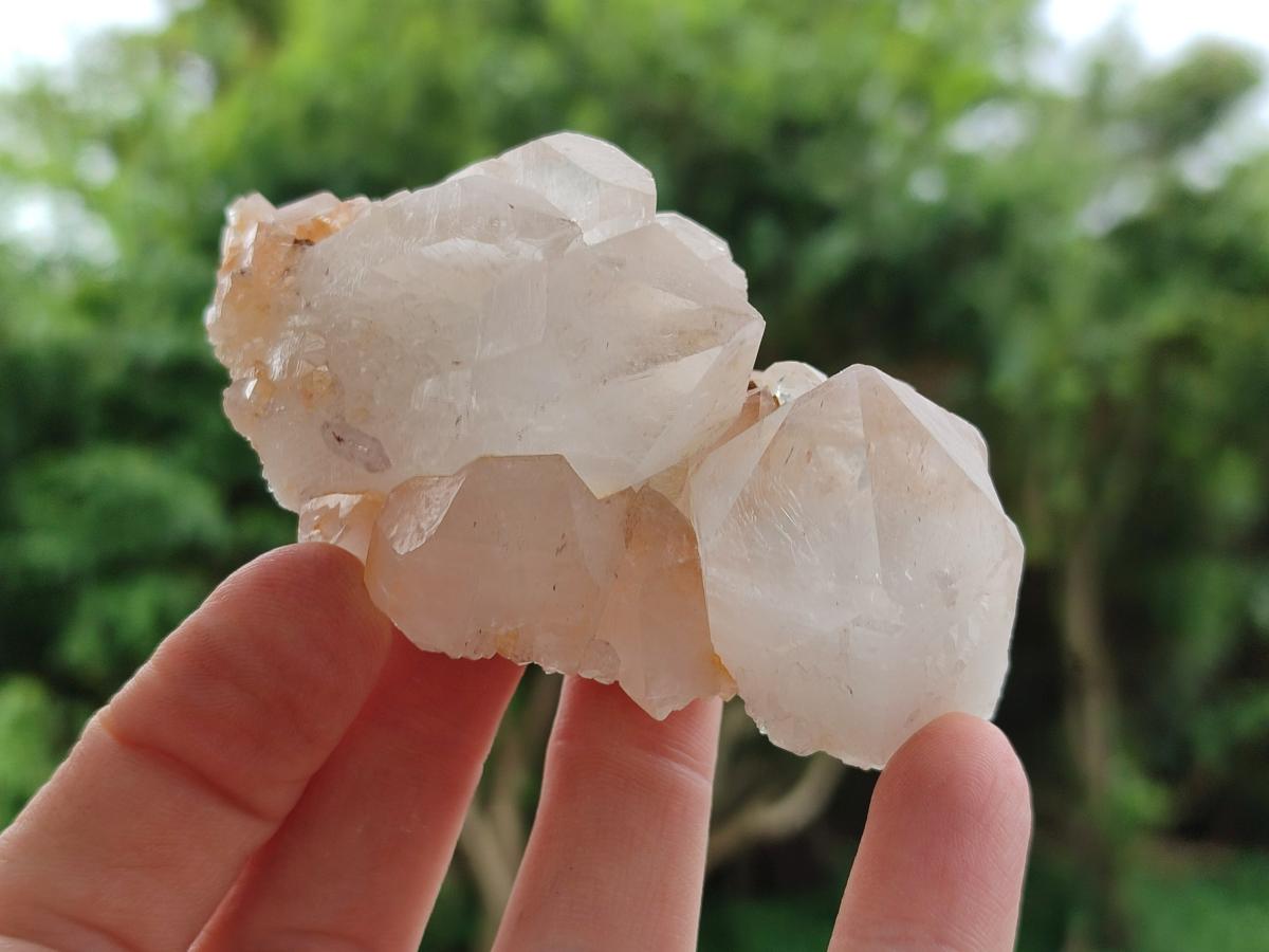 Natural Mixed Quartz Crystal Clusters x 6 From Madagascar
