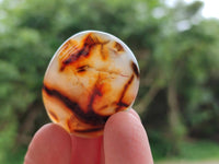 Polished Small Carnelian Agate Gemstone Galets x 23 From Madagascar