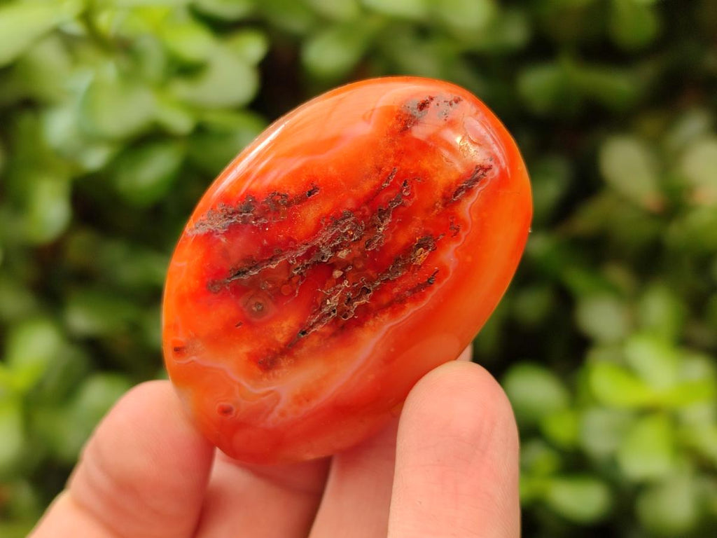 Polished Small Carnelian Agate Gemstone Galets x 23 From Madagascar