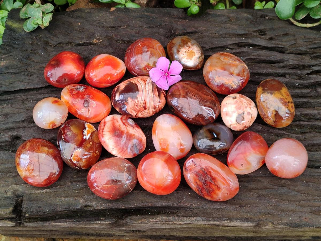 Polished Small Carnelian Agate Gemstone Galets x 23 From Madagascar