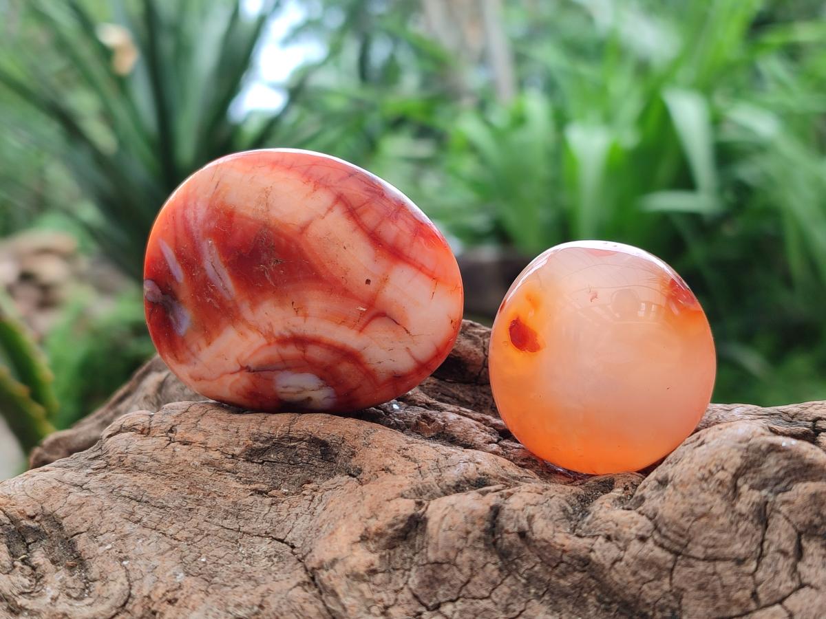 Polished Small Carnelian Agate Gemstone Galets x 23 From Madagascar