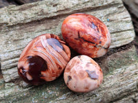 Polished Small Carnelian Agate Gemstone Galets x 23 From Madagascar