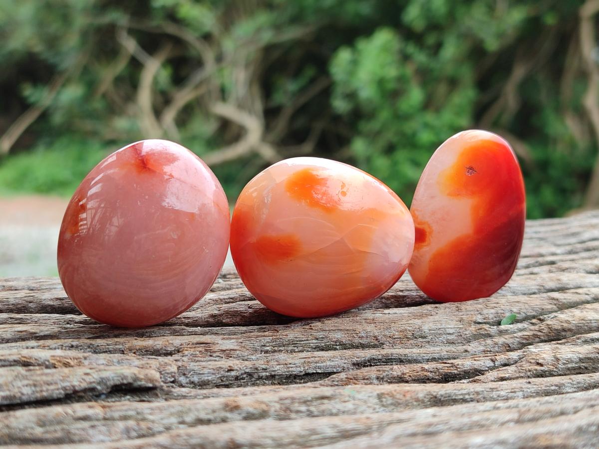 Polished Small Carnelian Agate Gemstone Galets x 23 From Madagascar