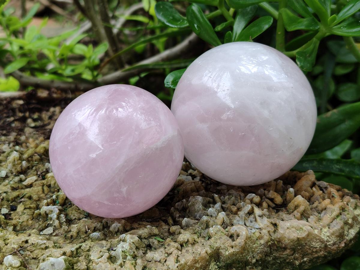 Polished Star Rose Quartz Spheres x 4 From Madagascar