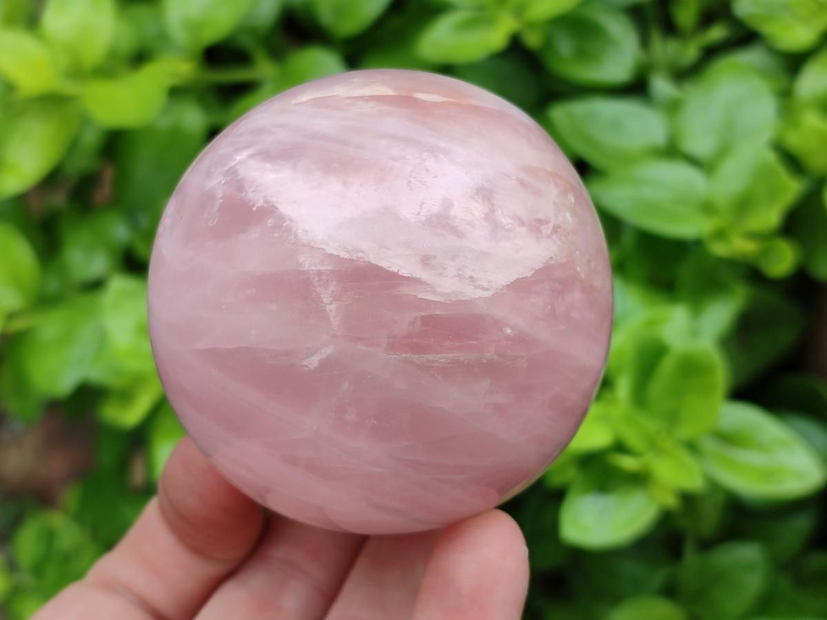 Polished Star Rose Quartz Spheres x 4 From Madagascar