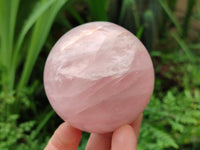 Polished Star Rose Quartz Spheres x 4 From Madagascar