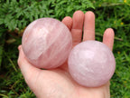 Polished Star Rose Quartz Spheres x 4 From Madagascar